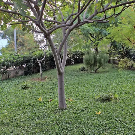 Apartmán 3244c Postira